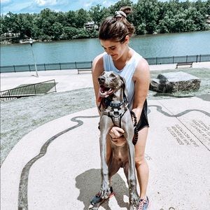 Meet your Posher, Autumn